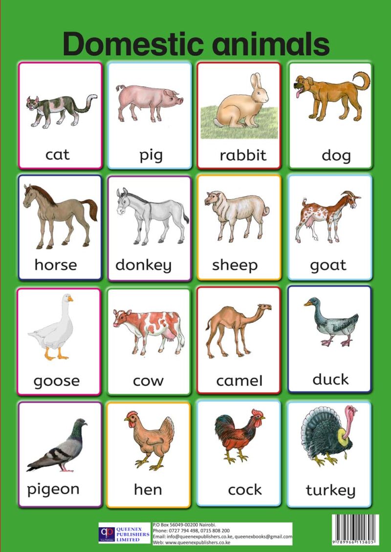 Domestic Animals Queenex Publishers Limited
