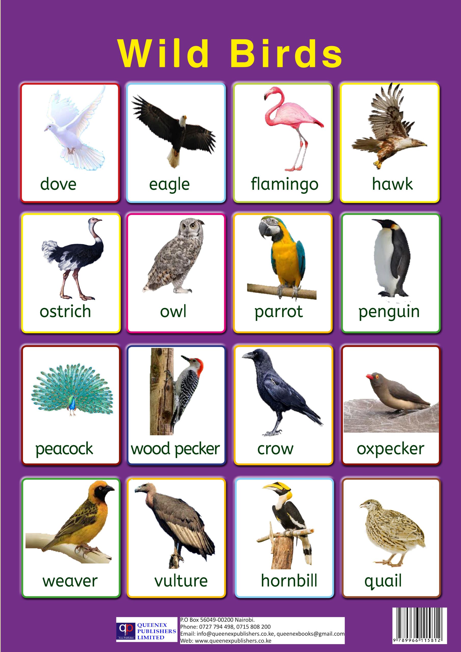 wild birds wild birds